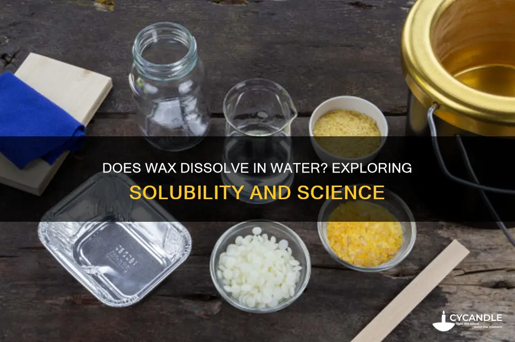 does wax dissolve in water