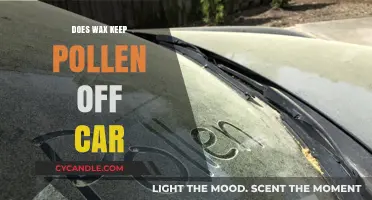 Waxing Your Car: A Pollen-Free Solution?