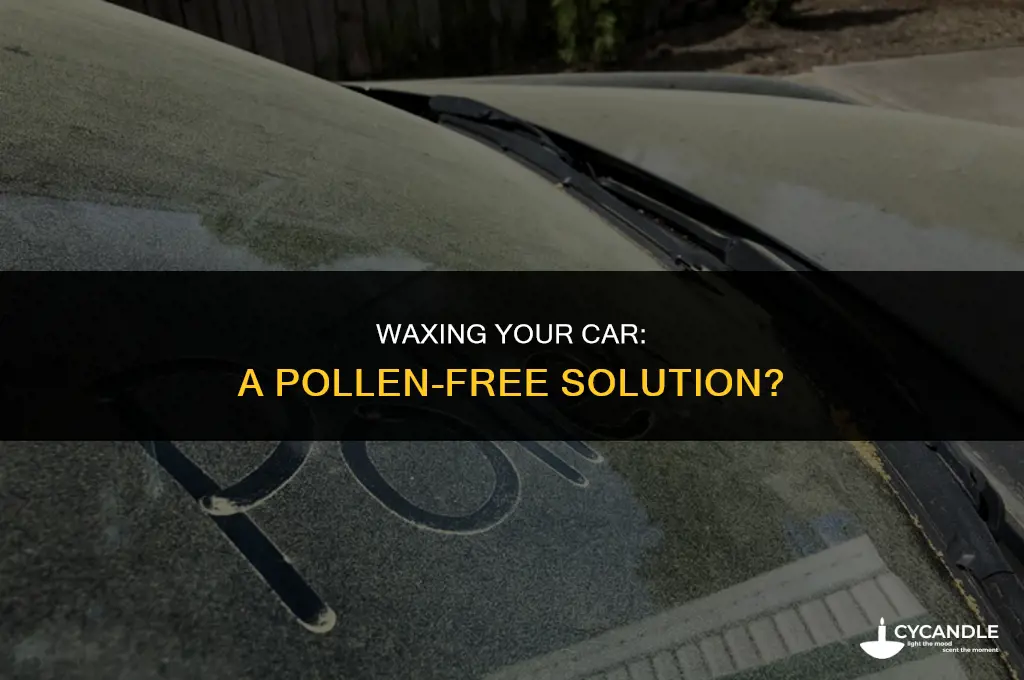 does wax keep pollen off car