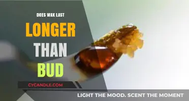 Exploring Cannabis Consumption: Wax vs. Bud Longevity