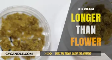 Comparing Longevity: Wax vs. Flower in Perfumery and Beyond