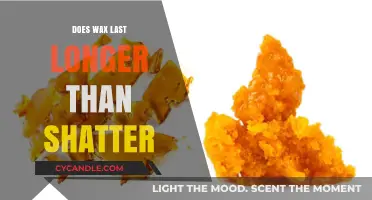 Comparing Cannabis Concentrates: Wax vs. Shatter Durability