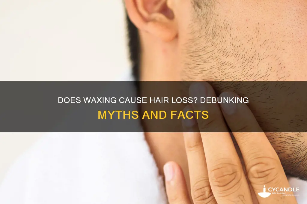 does wax make you lose hair