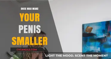 Does Waxing Shrink Your Penis? Separating Fact from Fiction