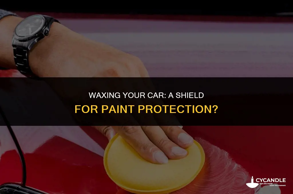 does wax preserve car paint