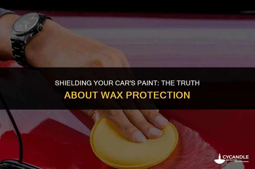 does wax protect car paint from sun