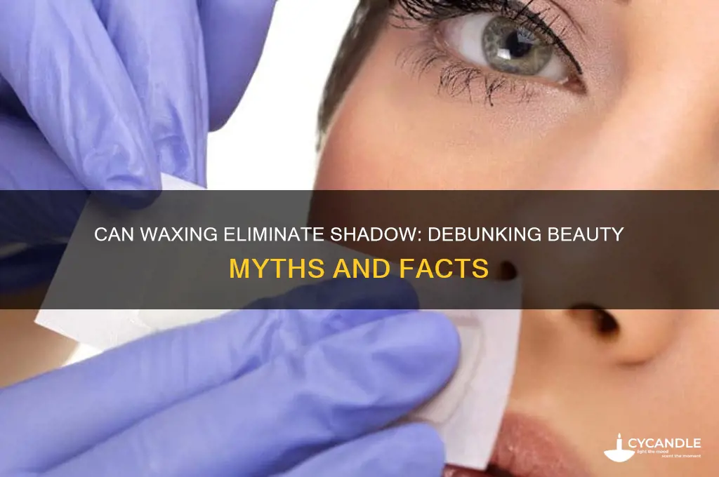 does wax remove shadow