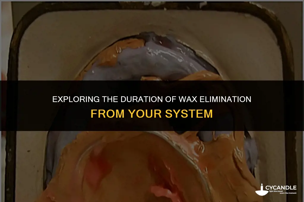 does wax take longer to get out of your system