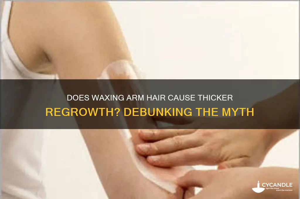 does waxing arm hair make it grow back thicker