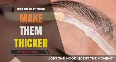 Does Waxing Eyebrows Make Them Thicker? The Truth Revealed