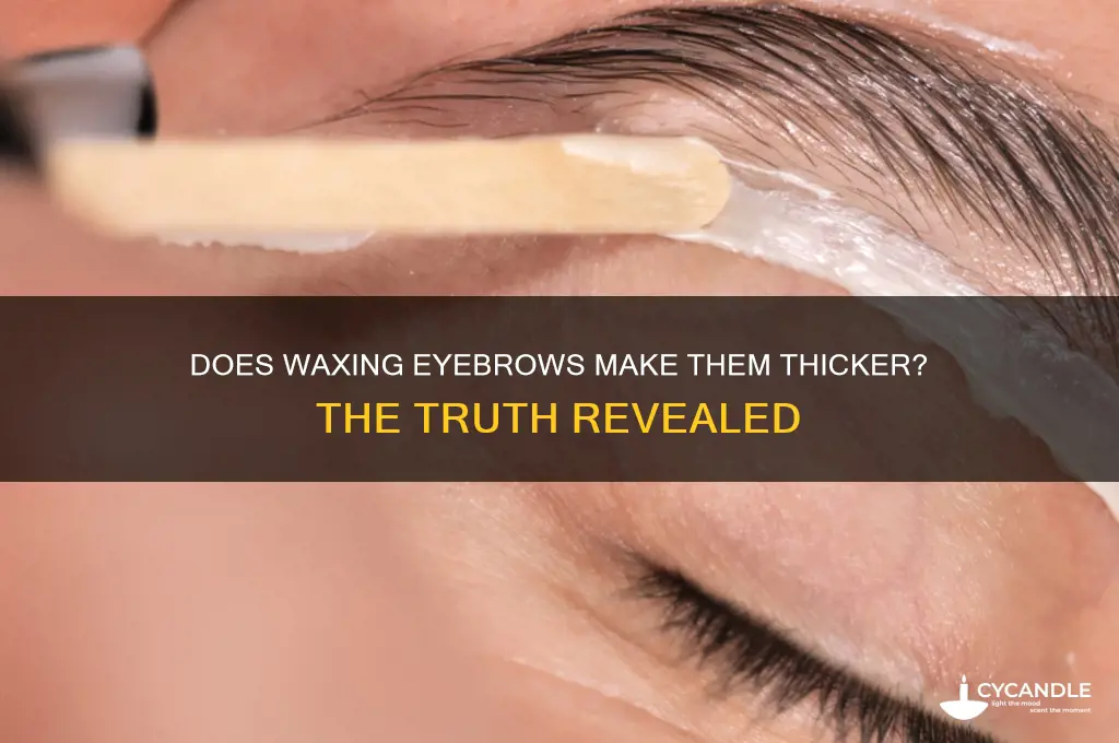 does waxing eyebrows make them thicker