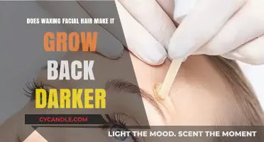 Does Waxing Facial Hair Make It Grow Back Darker?