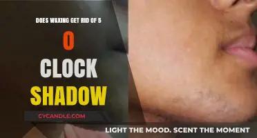 Smooth Sailing: Waxing's Role in Banishing 5 O'Clock Shadow