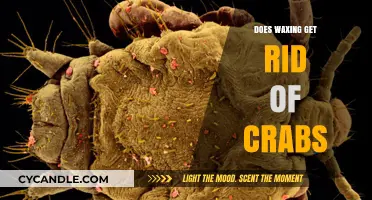 The Truth About Waxing: Does It Really Get Rid of Crabs?