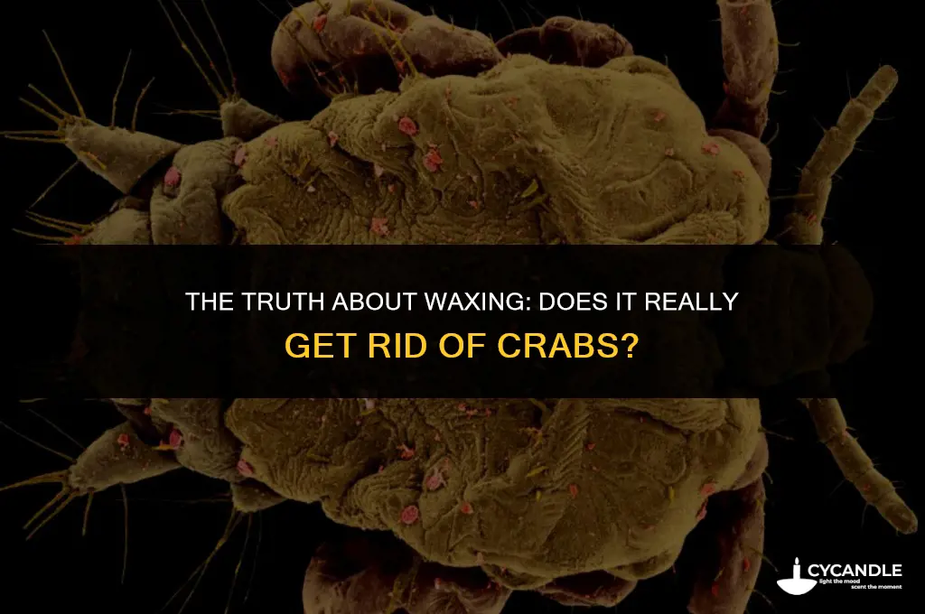 does waxing get rid of crabs