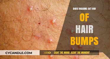 Smooth Skin Ahead: Does Waxing Really Banish Hair Bumps?