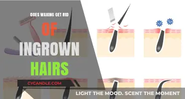 Smooth Skin Ahead: Waxing's Role in Banishing Ingrown Hairs