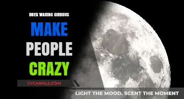 Waxing Gibbous Moon: Myth or Reality Behind Its Influence on Behavior?