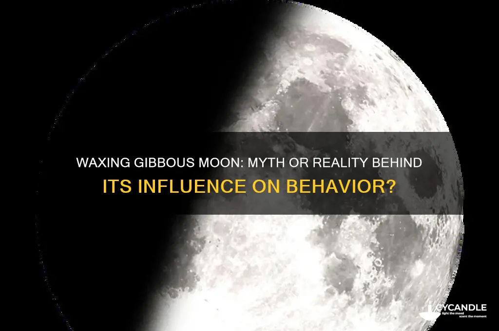 does waxing gibbous make people crazy