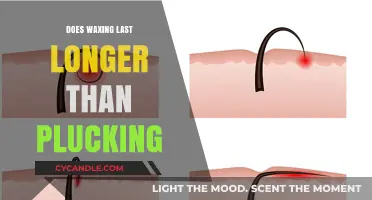 Waxing vs. Plucking: Which Hair Removal Method Lasts Longer?