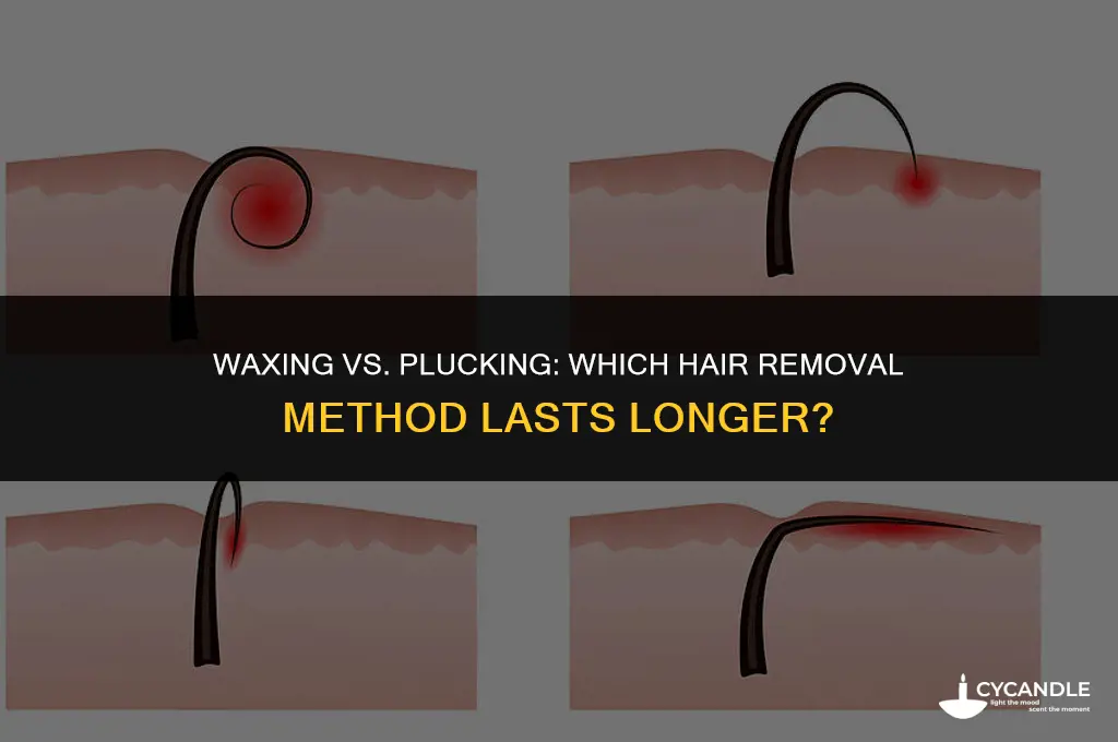 does waxing last longer than plucking