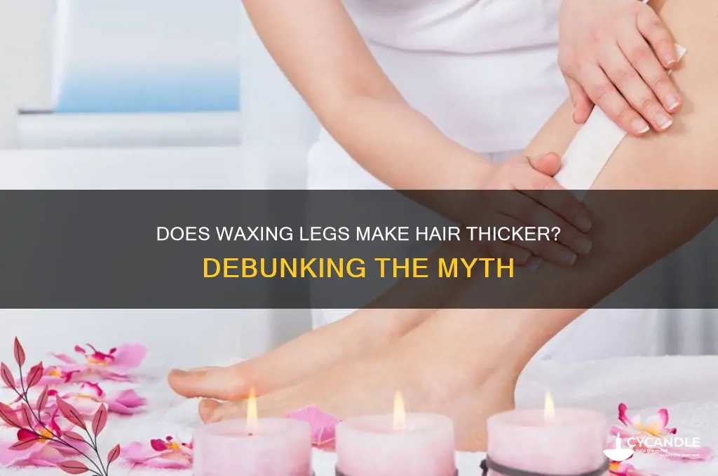 does waxing legs make hair thicker