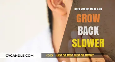 Does Waxing Slow Hair Growth? Debunking Myths and Facts