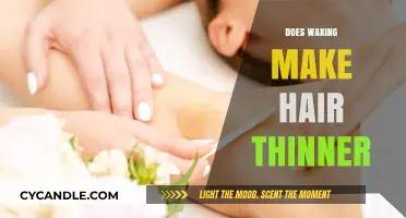 Does Waxing Thin Out Hair? Debunking Myths and Facts