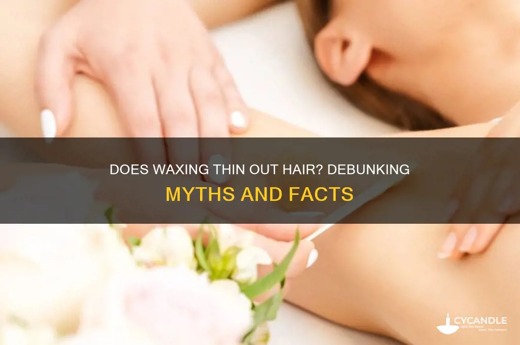 does waxing make hair thinner