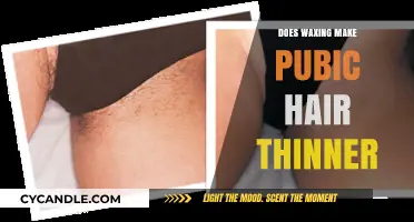 Does Waxing Thin Out Pubic Hair? Facts and Myths Explained