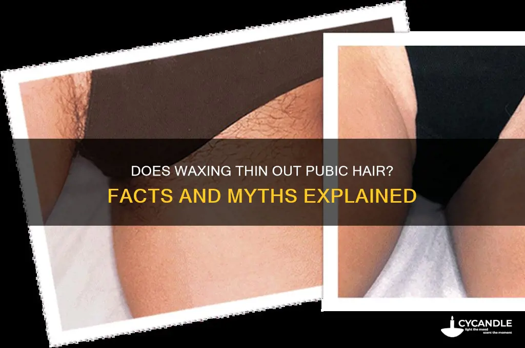 does waxing make pubic hair thinner