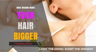 Does Waxing Thicken Hair? Debunking Myths About Hair Growth and Waxing
