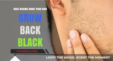 Does Waxing Cause Hair to Grow Back Darker? The Truth