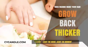 Does Waxing Really Make Hair Grow Back Thicker? The Truth Revealed