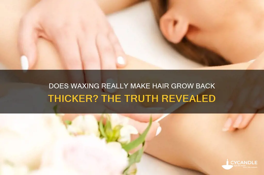 does waxing make your hair grow back thicker