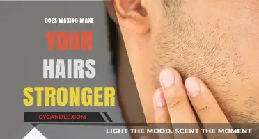 Does Waxing Strengthen Hair Growth? Debunking the Myth