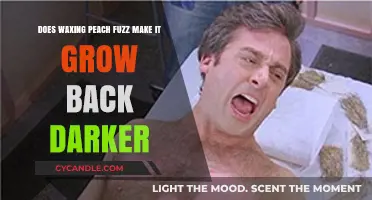 Does Waxing Peach Fuzz Cause Darker Regrowth? The Truth Revealed