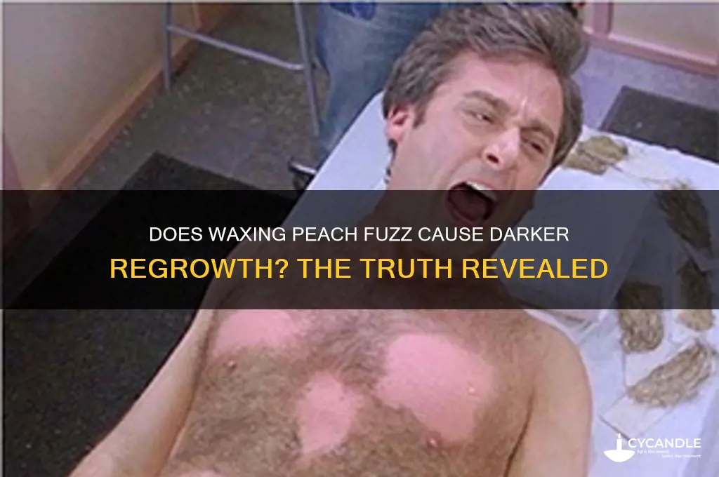 does waxing peach fuzz make it grow back darker