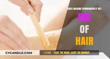 The Truth About Waxing: Does It Really Remove Hair Permanently?