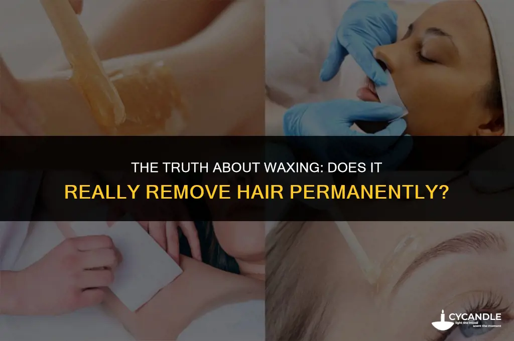 does waxing permanently get rid of hair