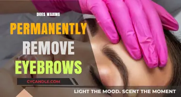 Does Waxing Permanently Remove Eyebrows? Debunking Myths and Facts