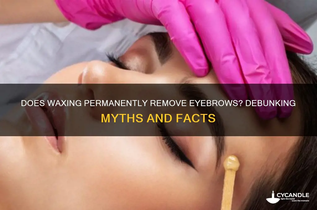 does waxing permanently remove eyebrows