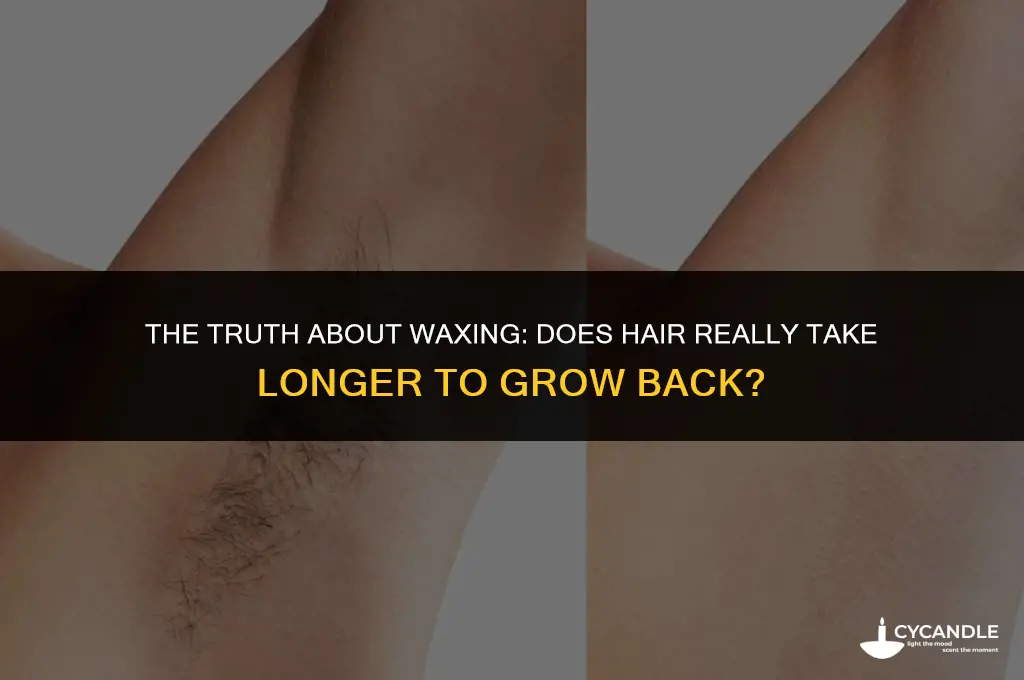 does waxing take longer to grow back