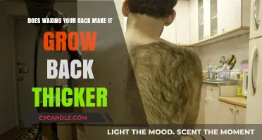 Does Back Waxing Cause Thicker Hair Regrowth? Debunking the Myth