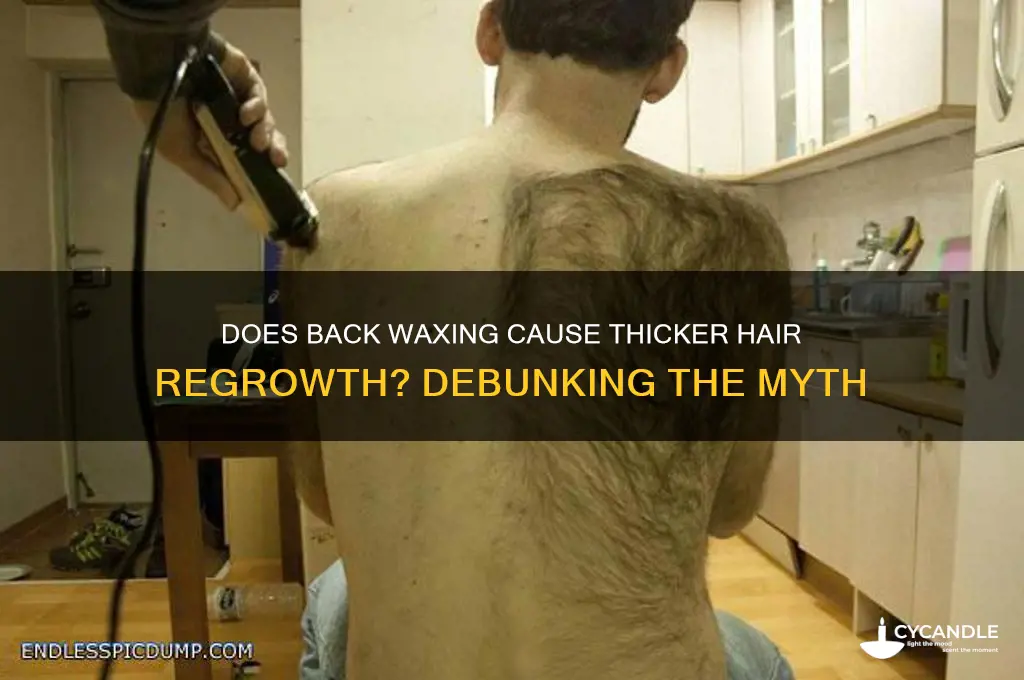 does waxing your back make it grow back thicker