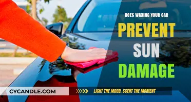 Protecting Your Car's Paint: The Truth About Wax and Sun Damage
