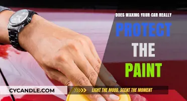 The Truth About Car Wax: Does It Really Safeguard Your Paint?