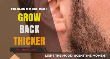 Does Chest Waxing Cause Thicker Hair Regrowth? Debunking the Myth