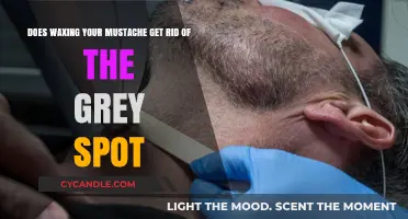 Banishing Grey: The Truth About Waxing Your Mustache
