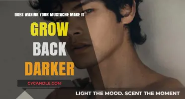 Does Waxing Your Mustache Make It Grow Back Darker?